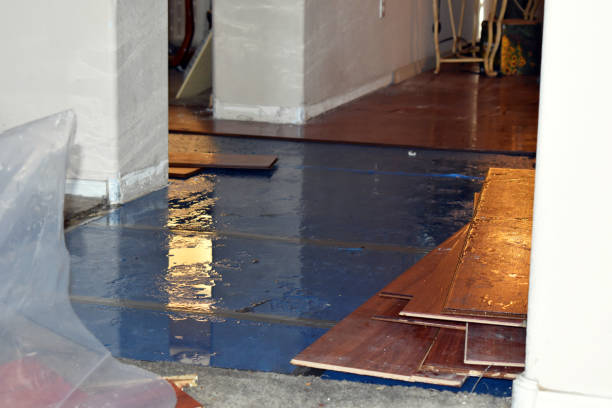 Professional Basement Flood Cleanup technician working in Kings Park, VA